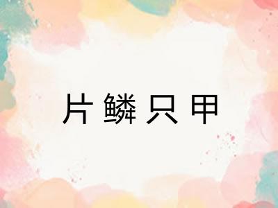 片鳞只甲