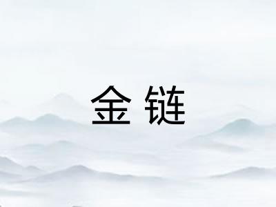 金链