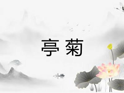 亭菊