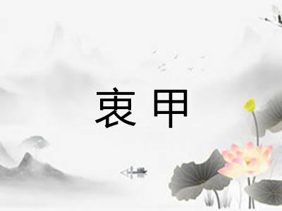 衷甲