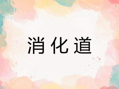 消化道