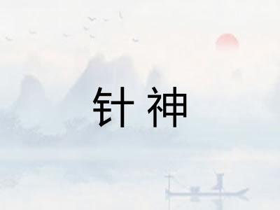 针神
