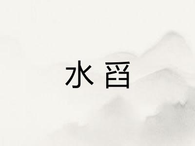 水舀