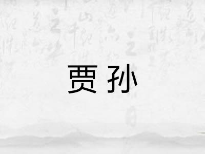 贾孙