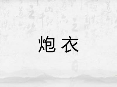 炮衣