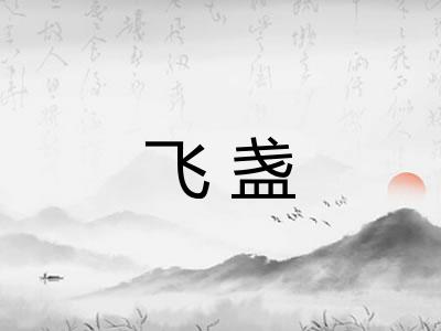 飞盏