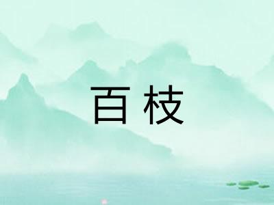 百枝