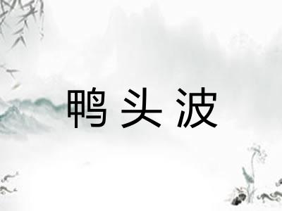 鸭头波