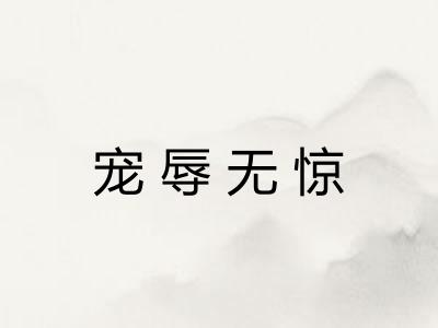 宠辱无惊