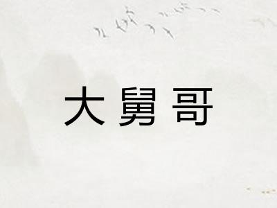 大舅哥