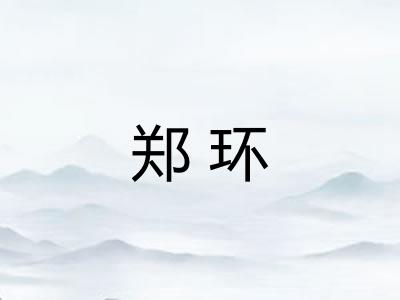 郑环