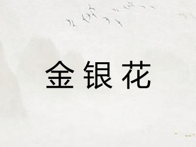 金银花