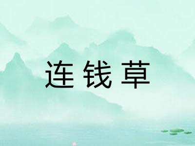 连钱草