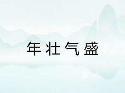 年壮气盛