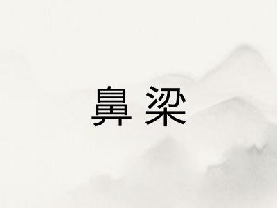 鼻梁
