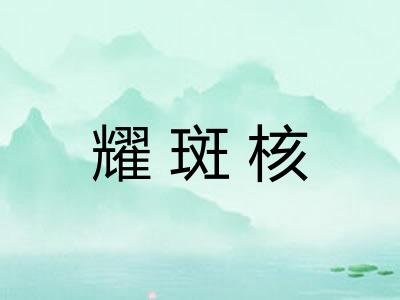 耀斑核
