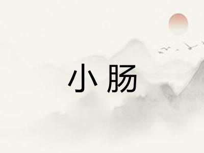 小肠