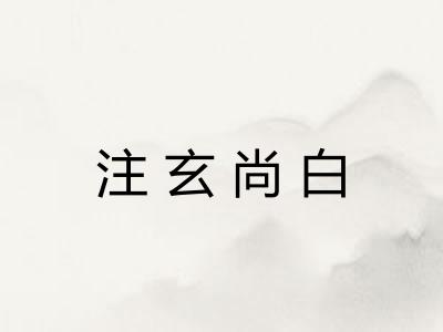 注玄尚白
