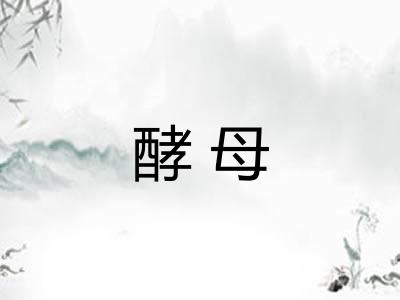 酵母