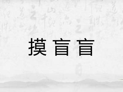 摸盲盲