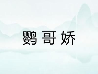 鹦哥娇