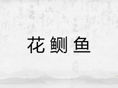 花鲗鱼