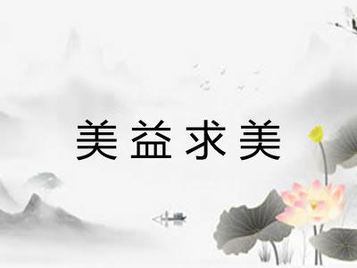 美益求美
