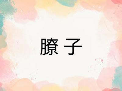 膫子