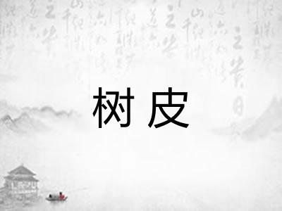树皮