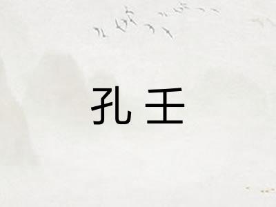 孔壬