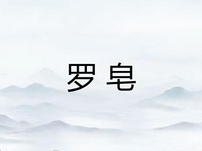罗皂