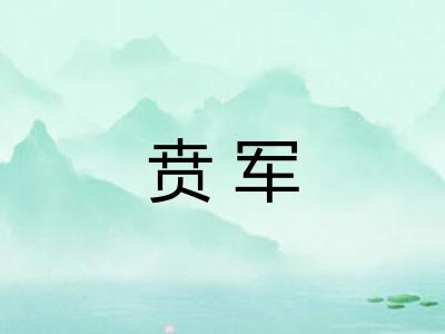 贲军