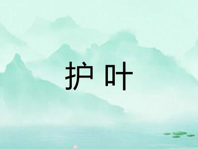 护叶