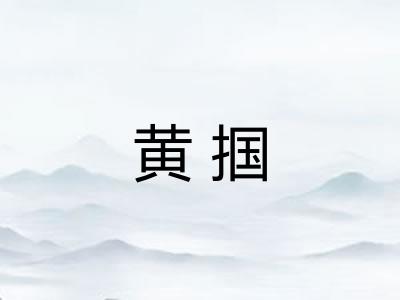 黄掴