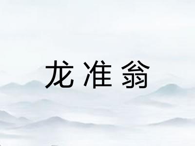 龙准翁