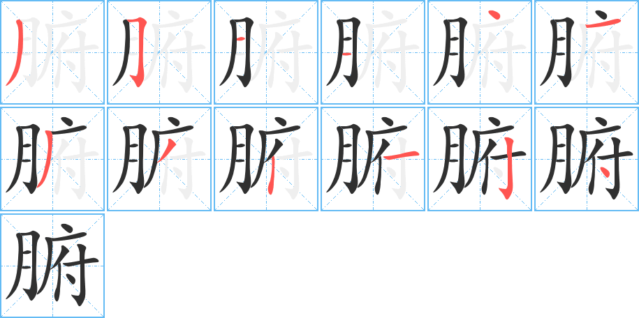 腑的笔顺分步演示图