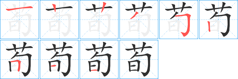 荀的笔顺分步演示图