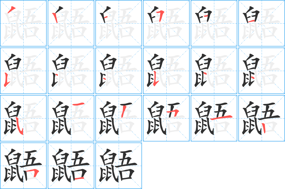 鼯的笔顺分步演示图